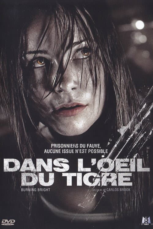 Dans l'œil du tigre