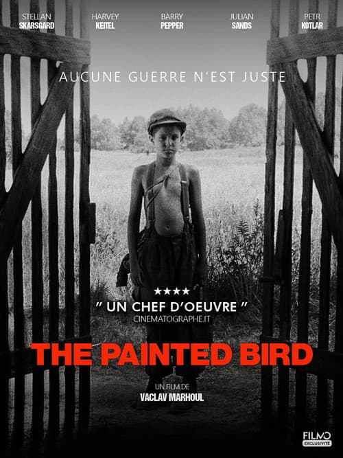 L'Oiseau bariolé